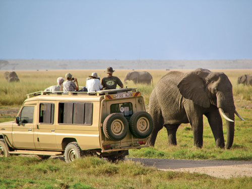 Game Drive In Amboseli National Park