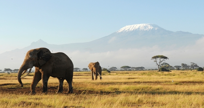 how to get to amboseli national park