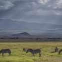 History Of Amboseli National Park