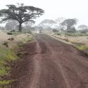 How To Get To Amboseli  National Park