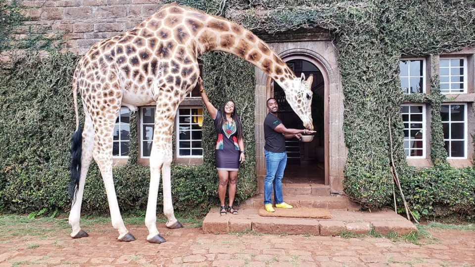 giraffe manor