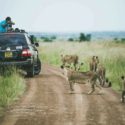 Game Drives In Nairobi National Park