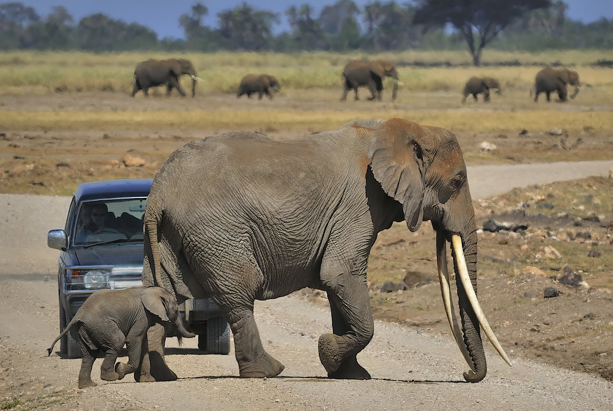 Best Time To Visit Amboseli National Park