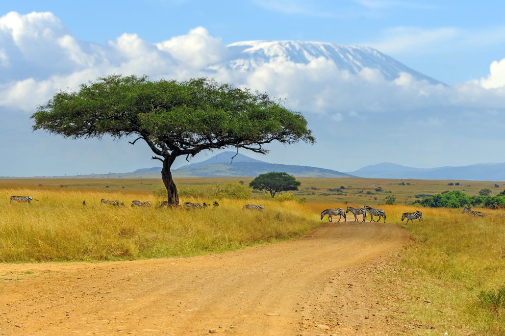 6 Day Amboseli to Masai Mara Mid Range Safari